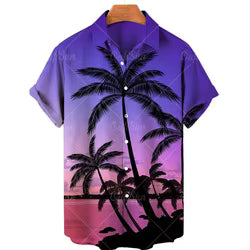 Casual Shirts Summer Collection