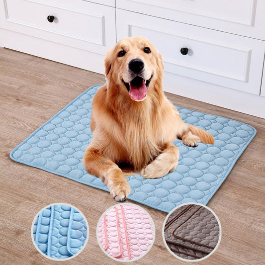 Dog sitting on a blue mat with close-up insets of different textures.