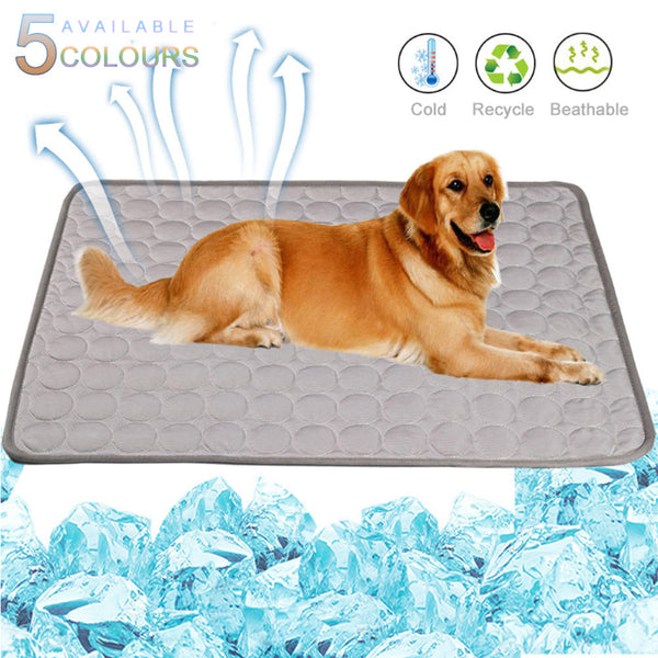 Dog lying on a cooling pad with ice cubes and features listed above.