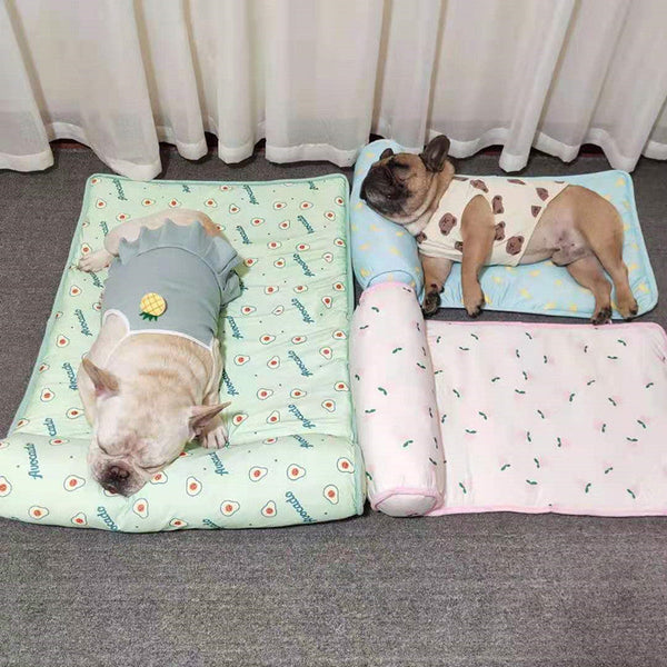 Two dogs lying on patterned mats with a neutral background