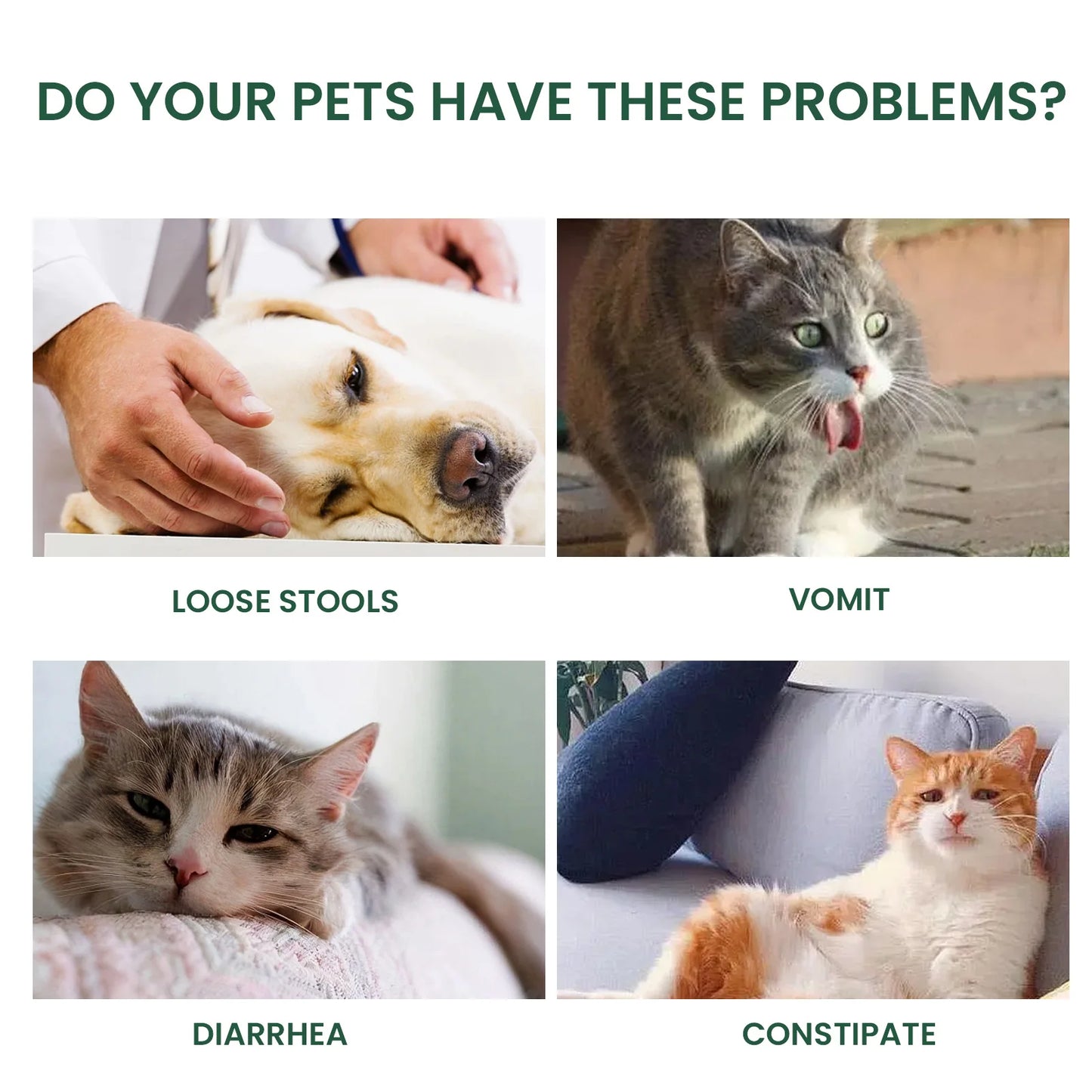 Images of pets with health issues and text asking if they have problems.