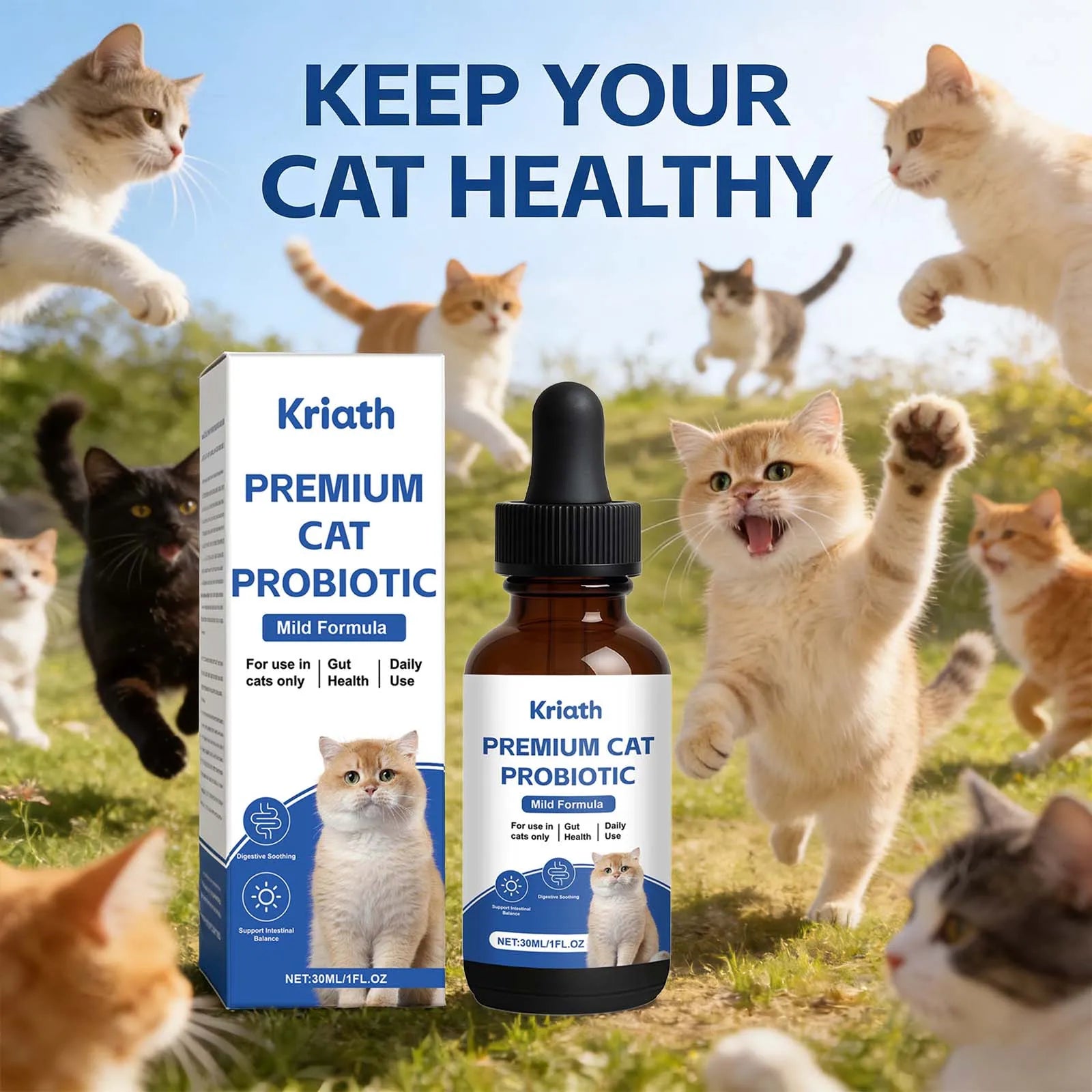 Kriath premium cat probiotic product with cats in the background