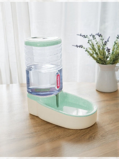 Pet water bottle and feeder on a wooden floor with a white curtain and plant in the background