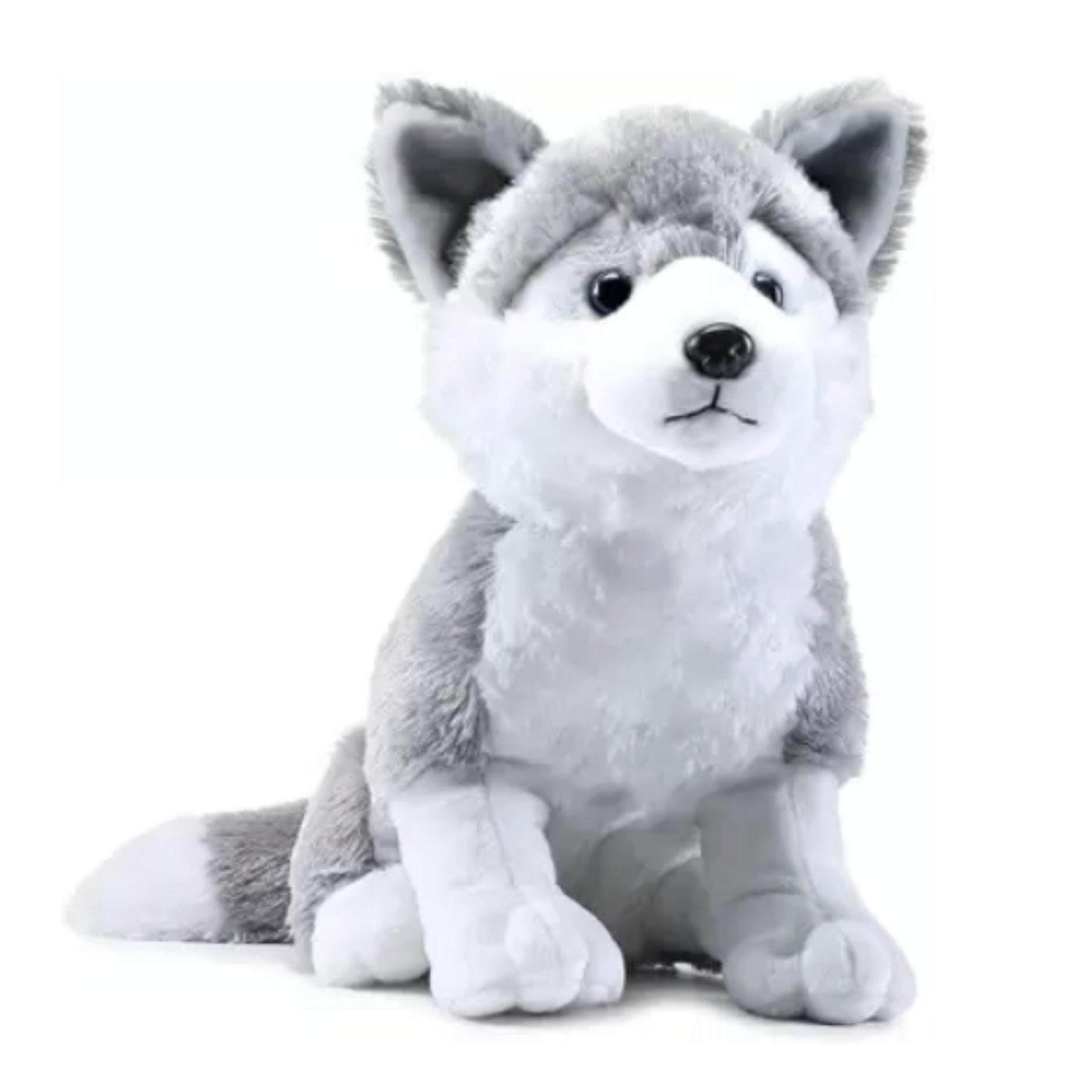 Plush toy husky on a white background