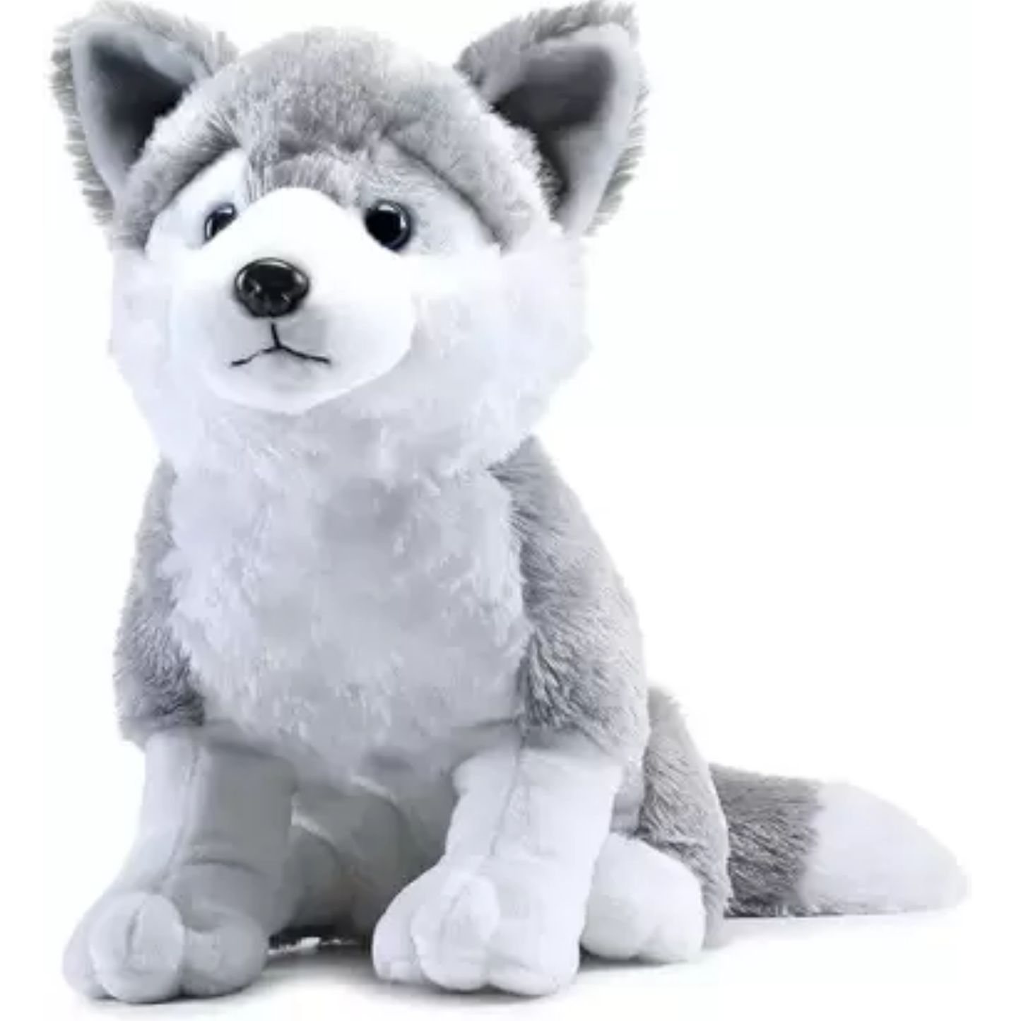 Plush toy husky on a white background