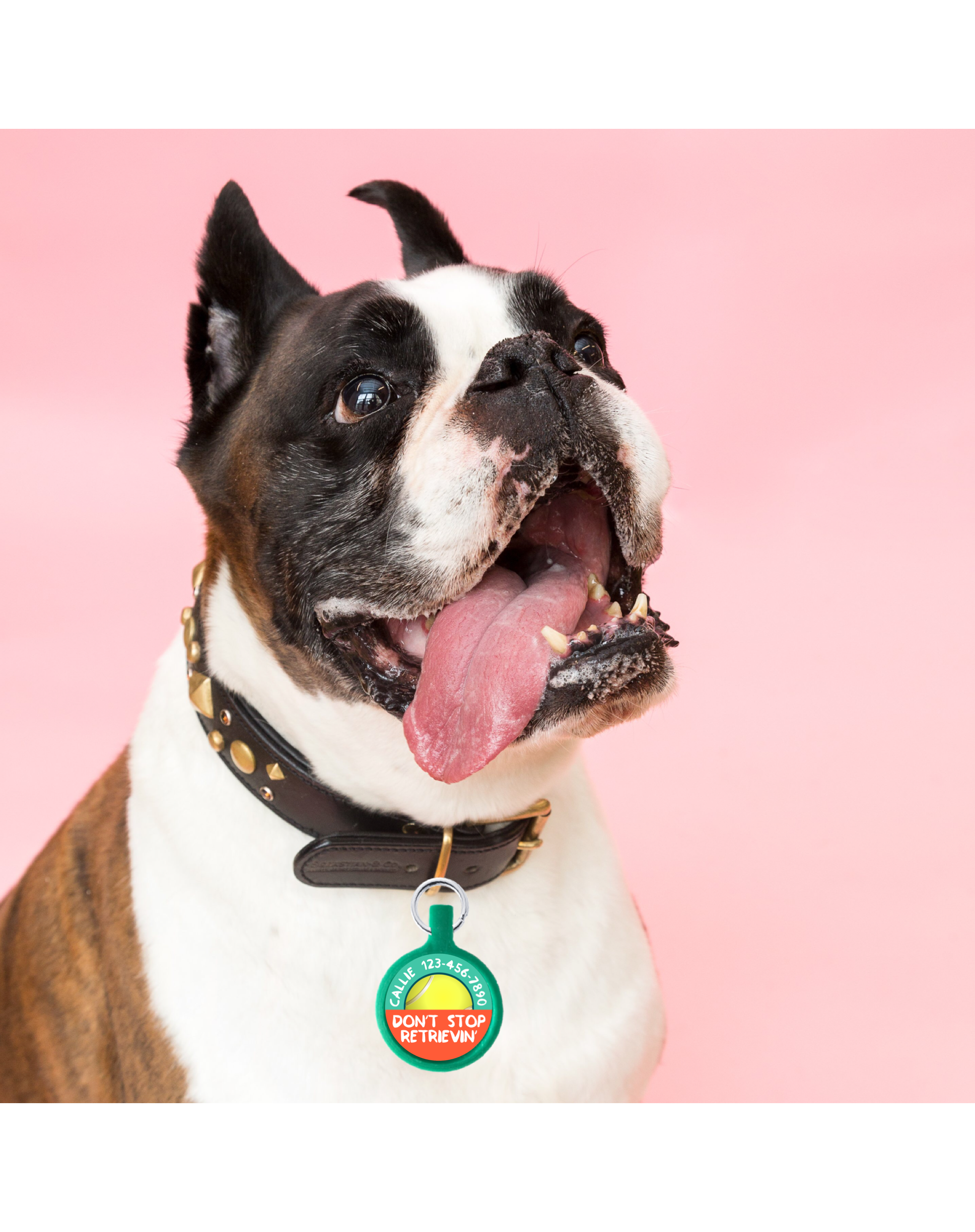 Personalized Pet ID Tag — Don't Stop Retrievin'
