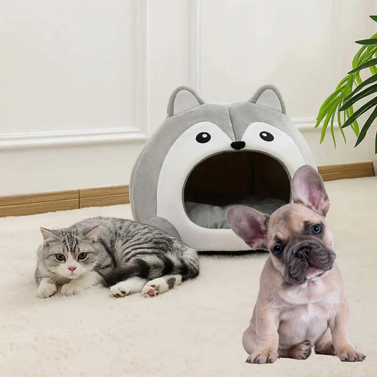 Cat and dog in front of a gray pet house with a smiling face.