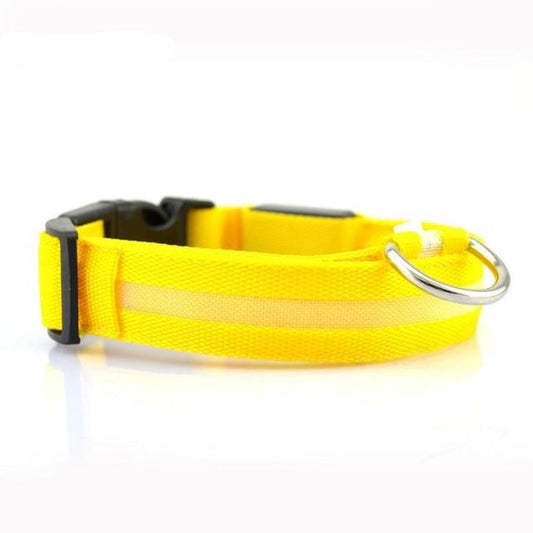 Yellow dog collar with a black buckle and silver ring on a white background